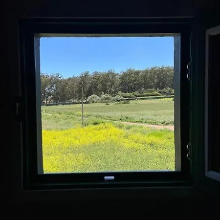La Macadamia بيت للعطل لا لاغونا