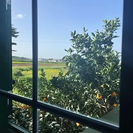 La Macadamia Casa vacanze La Laguna (Tenerife)