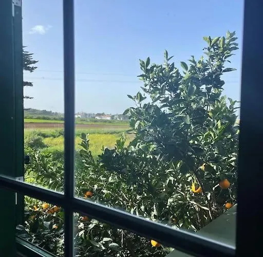 La Macadamia Casa de Férias La Laguna (Tenerife)